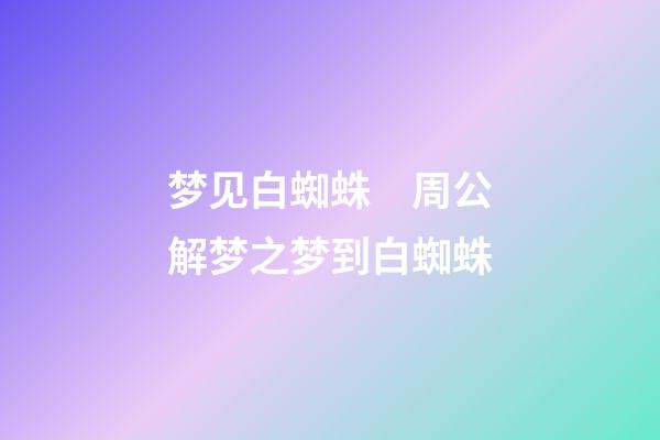 梦见白蜘蛛　周公解梦之梦到白蜘蛛